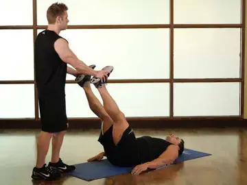 Adductor/Groin