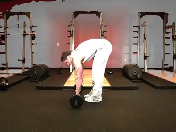 Barbell Ab Rollout