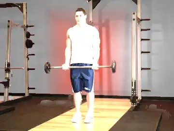 Barbell Curl