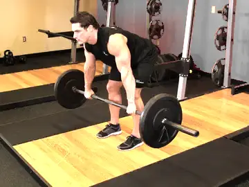 Correct form for the Barbell Rear Delt Row