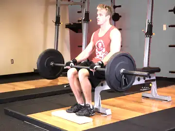 Barbell Seated Calf Raise