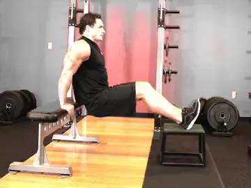 Correct form for the Bench Dips