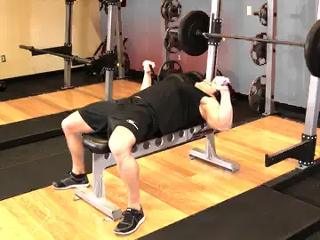 Bench Press - With Bands