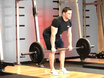Bent Over Barbell Row