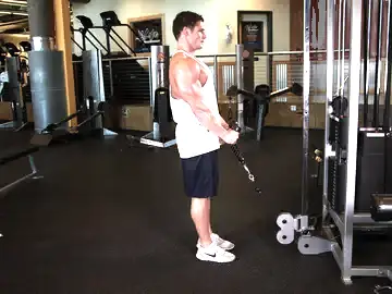 Cable Hammer Curls - Rope Attachment