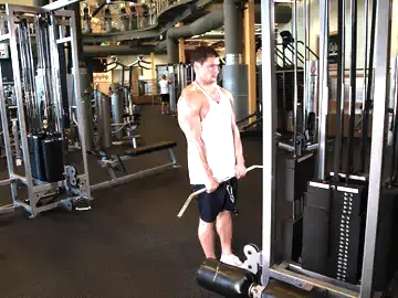 Cable Shrugs
