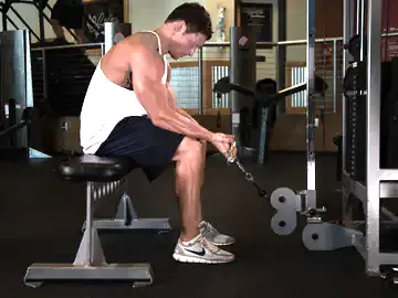 Cable Wrist Curl
