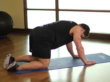 Correct form for the Cat Stretch