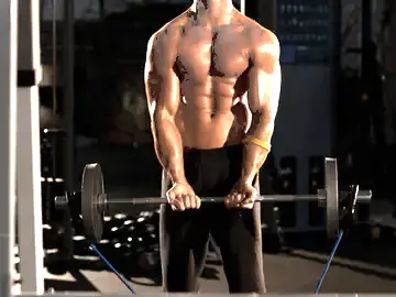 Correct form for the Close-Grip EZ-Bar Curl with Band