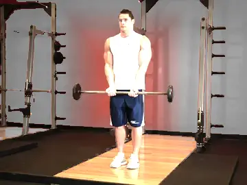 Correct form for the Close-Grip Standing Barbell Curl