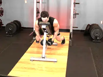 Correct form for the Dumbbell Lying Rear Lateral Raise