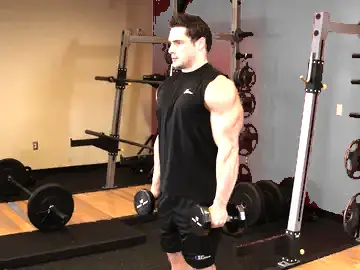 Correct form for the Dumbbell Raise
