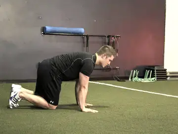 Hip Circles (prone)