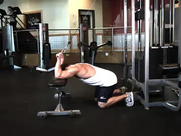 Correct form for the Kneeling Cable Triceps Extension