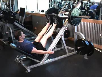 Correct form for the Leg Press