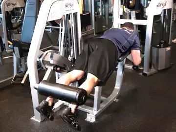 Correct form for the Lying Leg Curls