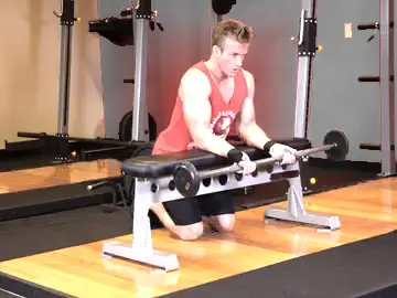 Correct form for the Palms-Up Barbell Wrist Curl Over A Bench