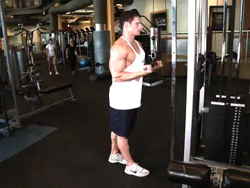 Correct form for the Reverse Grip Triceps Pushdown