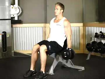 Correct form for the Seated Dumbbell Curl