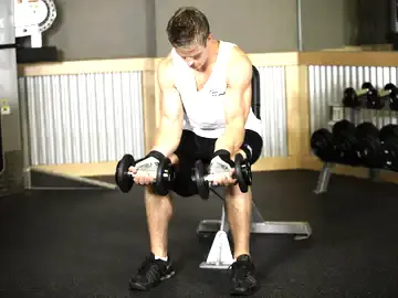 Correct form for the Seated Dumbbell Palms-Up Wrist Curl