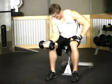 Correct form for the Seated One-Arm Dumbbell Palms-Up Wrist Curl
