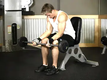 Correct form for the Seated Palm-Up Barbell Wrist Curl