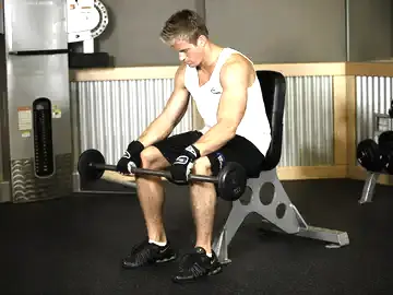 Correct form for the Seated Palms-Down Barbell Wrist Curl