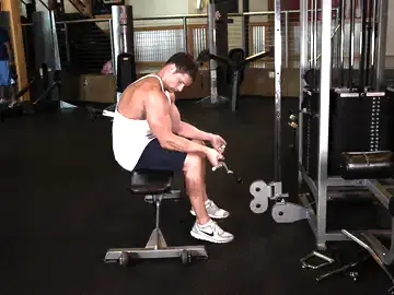 Correct form for the Seated Two-Arm Palms-Up Low-Pulley Wrist Curl