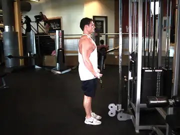 Correct form for the Standing Biceps Cable Curl