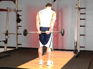 Correct form for the Standing Palms-Up Barbell Behind The Back Wrist Curl