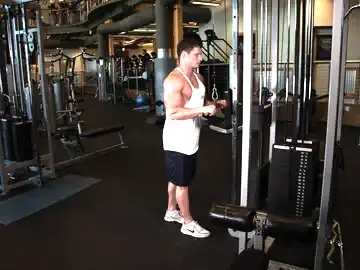Correct form for the Triceps Pushdown