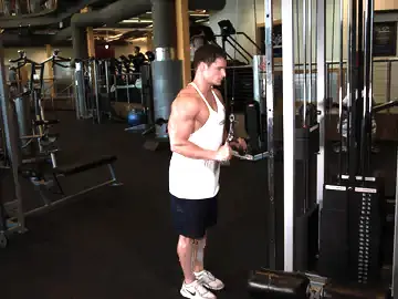 Correct form for the Triceps Pushdown - V-Bar Attachment