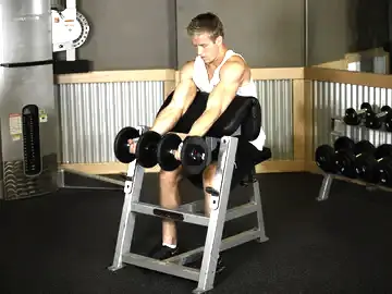 Correct form for the Two-Arm Dumbbell Preacher Curl